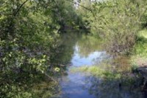 Schwefelquelle (KG Hauskirchen)