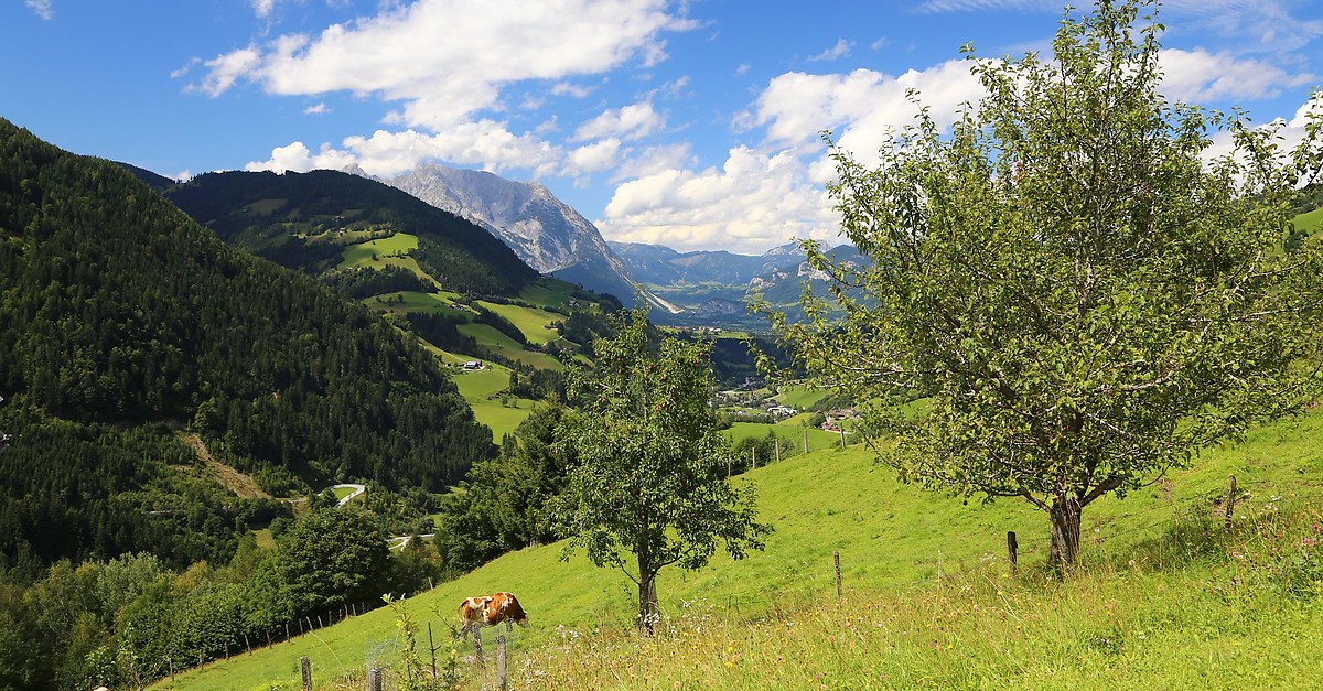 Badlechnerhof Privatzimmer / Bauernhof Donnersbach Grimming