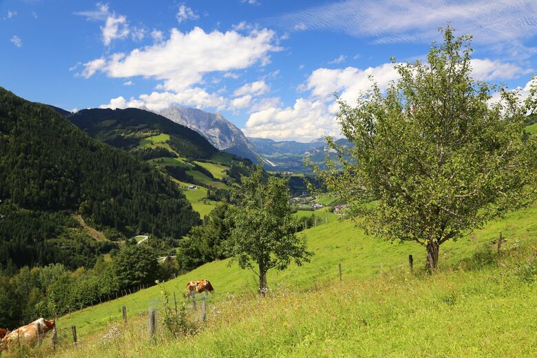 Badlechnerhof