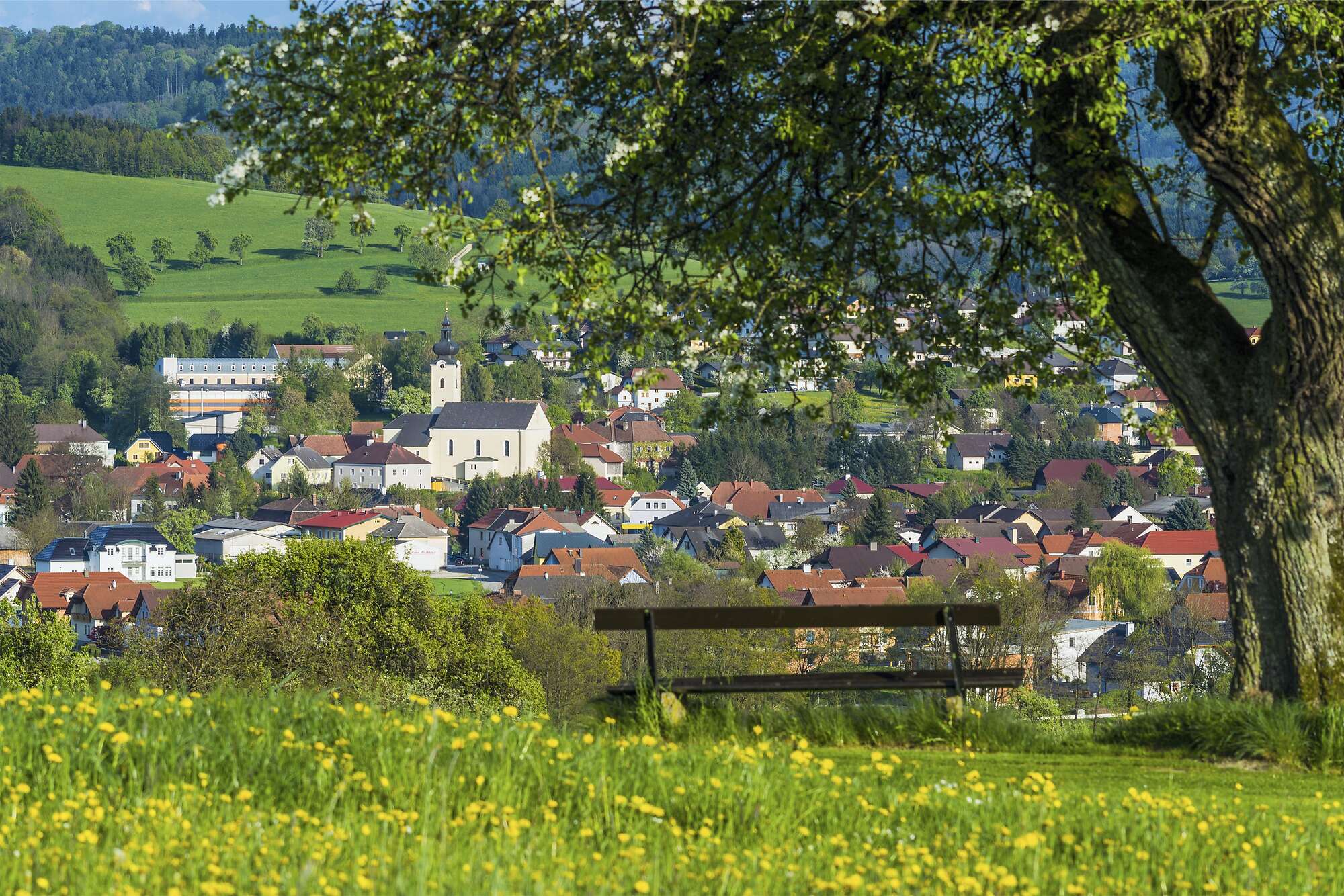 BERGFEX Panoramakarte Oberndorf an der Melk Karte Oberndorf an der
