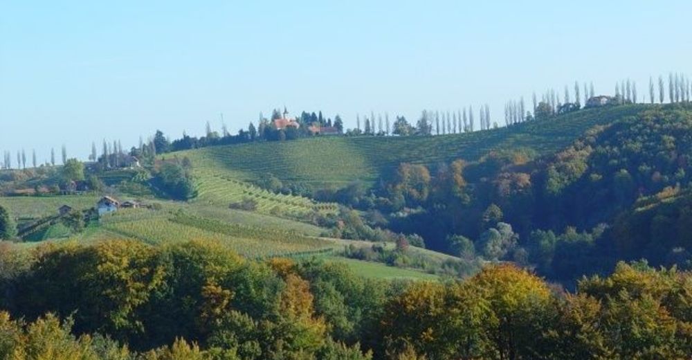 Bergfex Sehenswurdigkeiten Die Weinstrasse Jeruzalem Jeruzalem Ausflugsziel Sightseeing