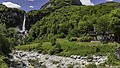 Summer region