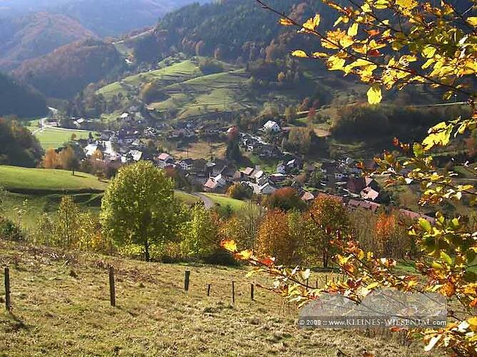 Wies im Schwarzwald