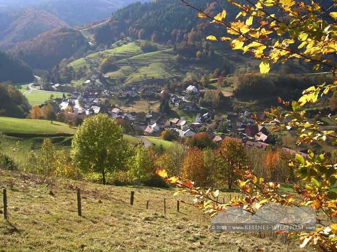 Wies im Schwarzwald
