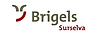 Логотип Breil/Brigels