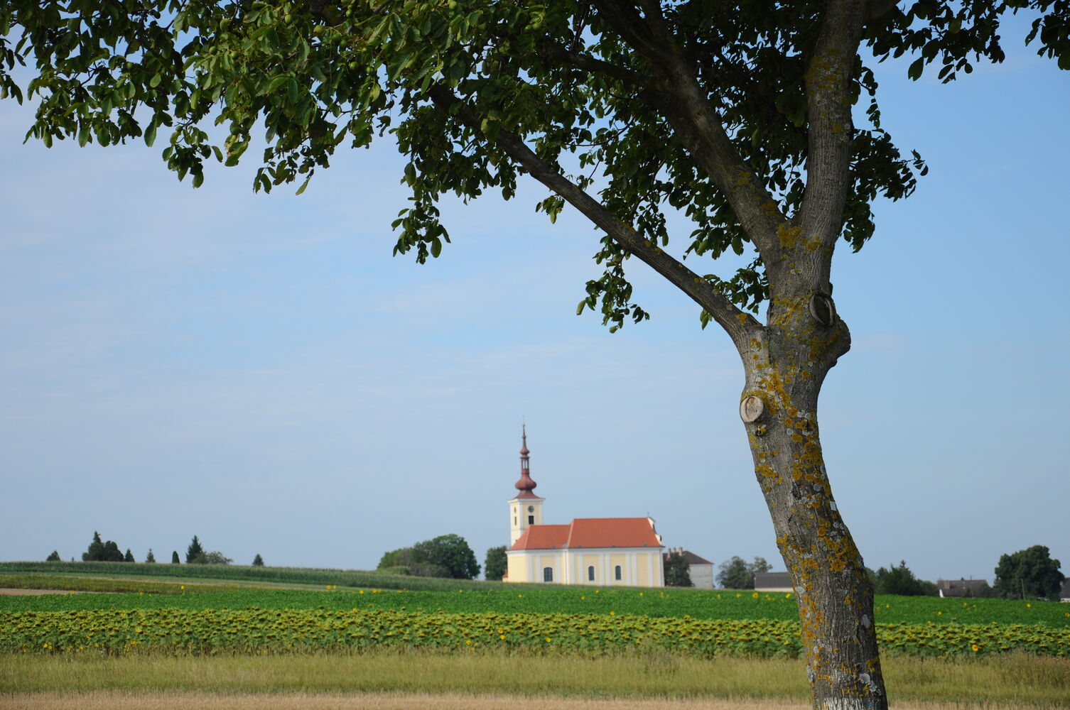 Hohenruppersdorf
