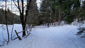 Winterwanderung quick