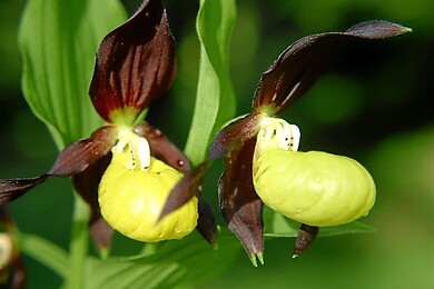 Annaberg-Lungötz - Lammertal