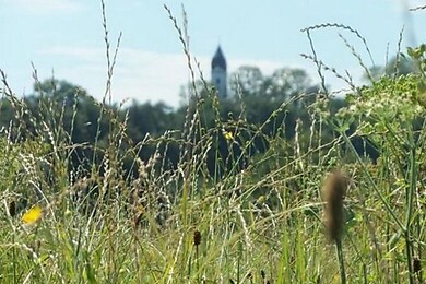 Ramerberg