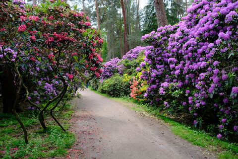 Rhodopark Gristede