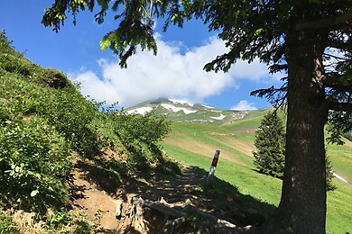 Lungern - Schönbüel