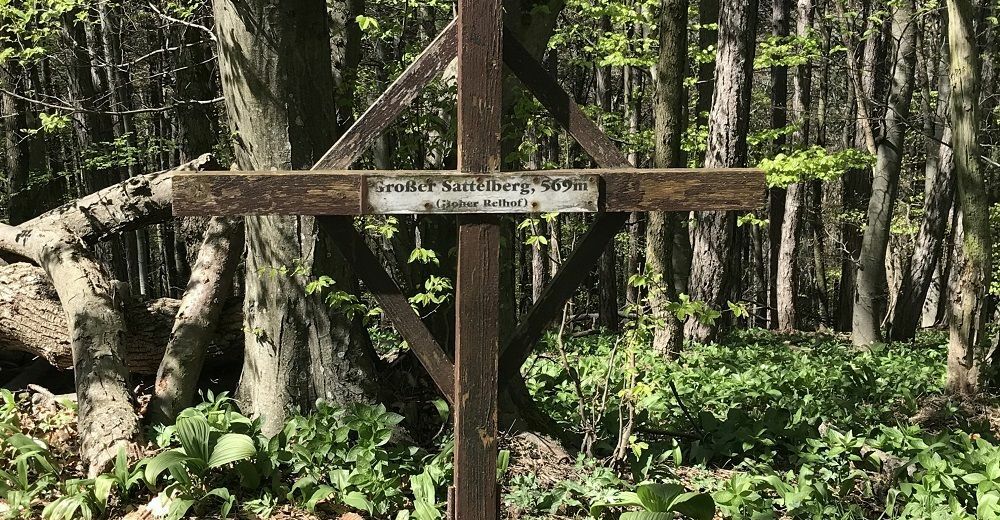 Von Gießhübl durch den Naturpark Föhrenberge - Angelos Touren - BERGFEX