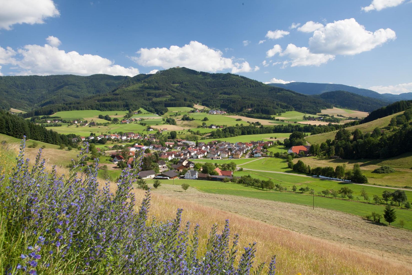 BERGFEX Panoramakarte Winden im Elztal Karte Winden im Elztal Alm