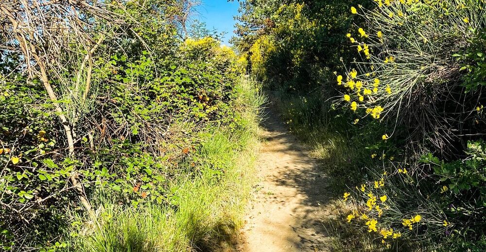 Bike Trek Park Monte Lignano Arezzo anello Via Romea VR CAI