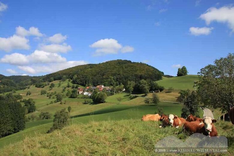 Raich im Schwarzwald