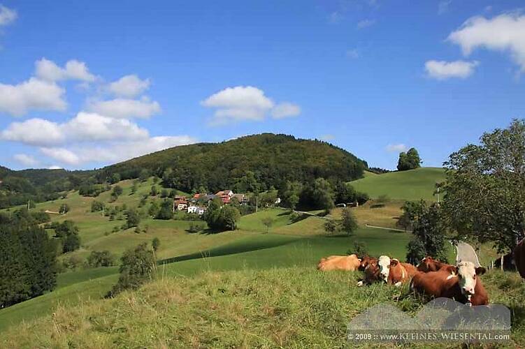 Raich im Schwarzwald