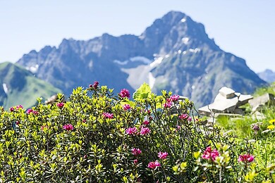 Kleinwalsertal