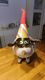 Avatar von magicschurl