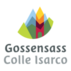 Logotip Gossensass