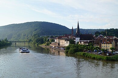 Neckargemünd