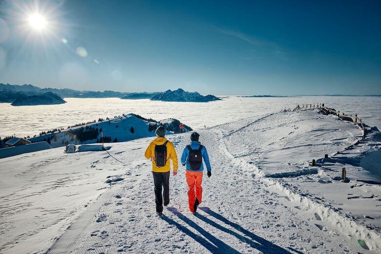 Rigi