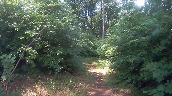 Hundsberg und Singletrail St. Andrä