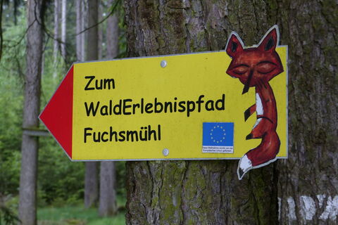 Walderlebnispfad Fuchsmühl