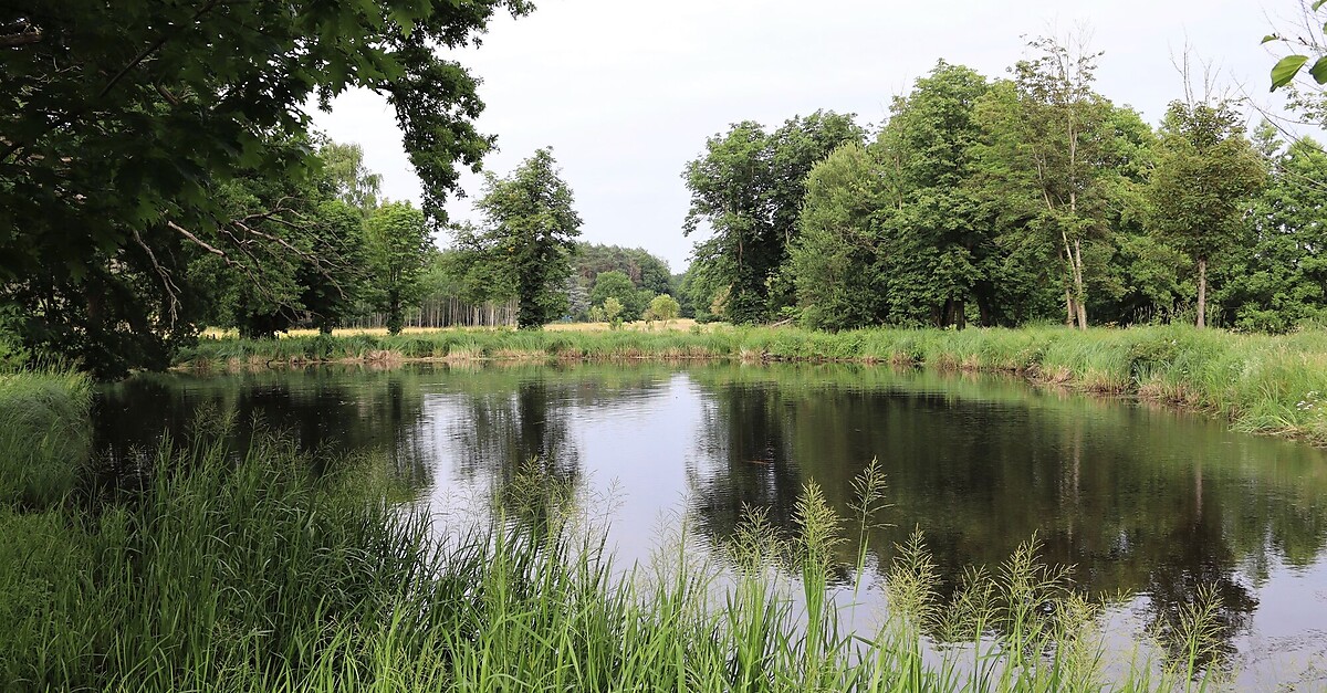Effelder WaldseePfad Leichte.Wander.Welt. BERGFEX Wanderung Tour NordrheinWestfalen