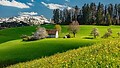 Sommerregion