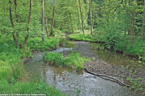 möhnesee rundweg fahrrad