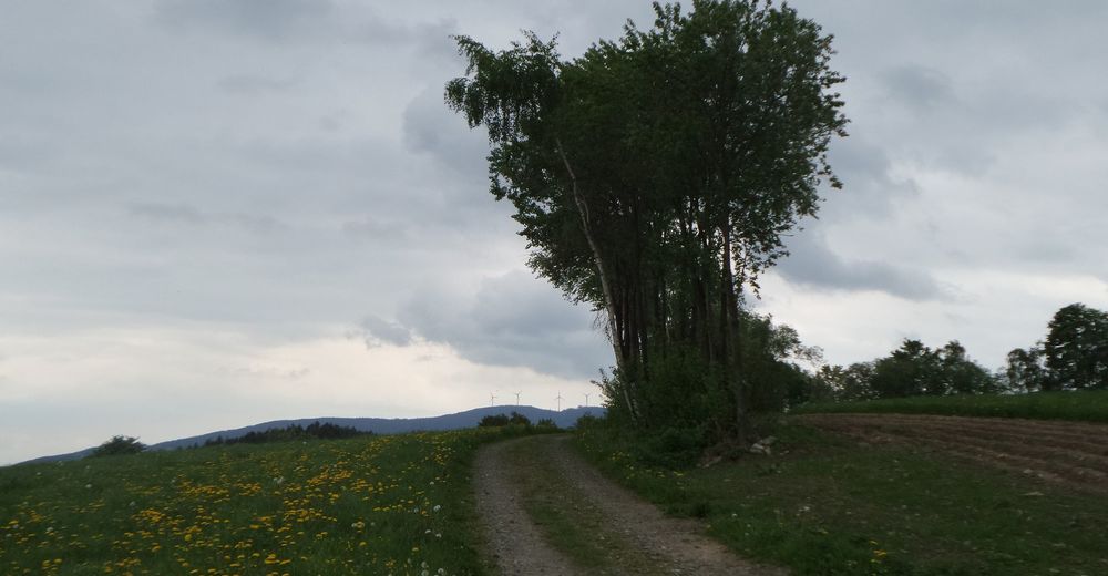 2023 Best Trails near Pongratzer Kogel