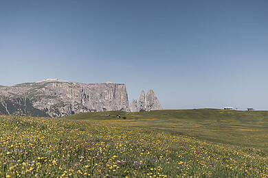 Seiser Alm