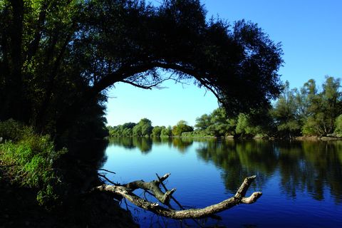 Naturreservat Marchauen