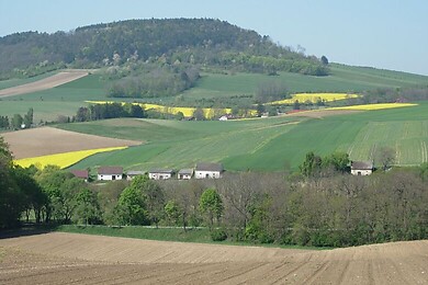 Niederleis