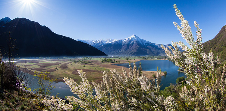 Veltlin / Valtellina