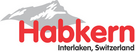 Logo Alue  Interlaken