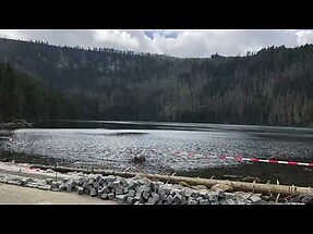 MTB Lam - Spicak - Schwellhäusel  - Bayerisch Eisenstein - Kl. Arbersee - 15.08.18