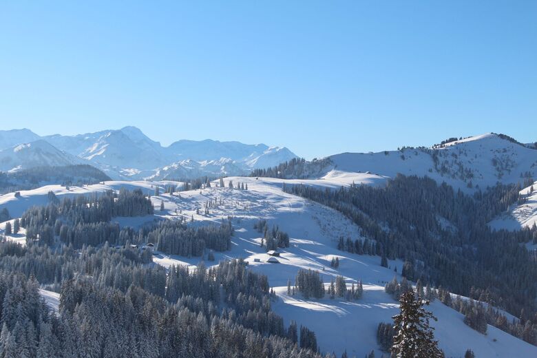 Jaunpass