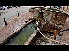 Roxitours 9 - Burg Haneck
