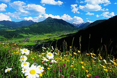 Flachau