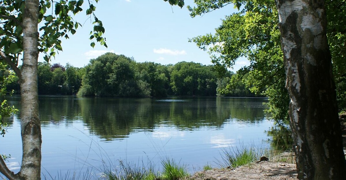Wilde Geest zu Fuß Ahlhorner Fischteiche BERGFEX Wanderung Tour