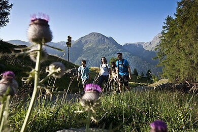Engadin Scuol Zernez