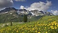 Sommerregion