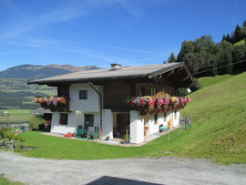 Logo Appartement Hasenauer