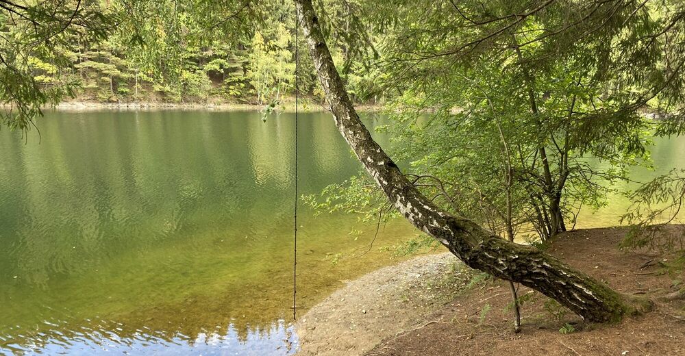 Rund Um Den Hirzmann Stausee Bergfex Wanderung Tour Steiermark