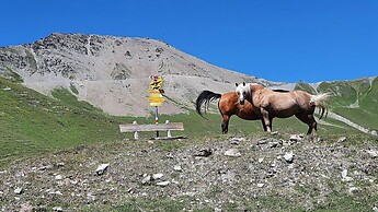 Ironbike Ischgl - Samnaun mit Bahn