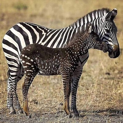 Avatar fra Ralph Faltinger