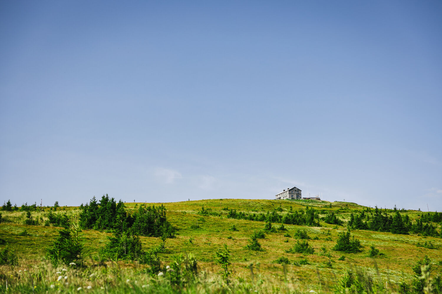 Joglland - Waldheimat