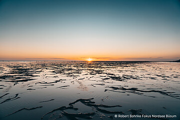 Faszinierendes UNESCO-Weltnaturerbe Wattenmeer erleben: 