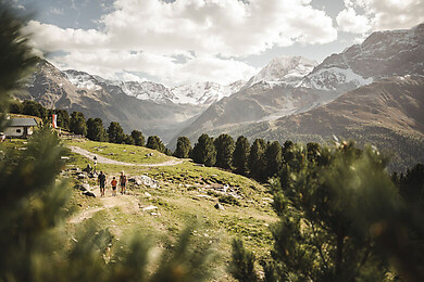 Vinschgau